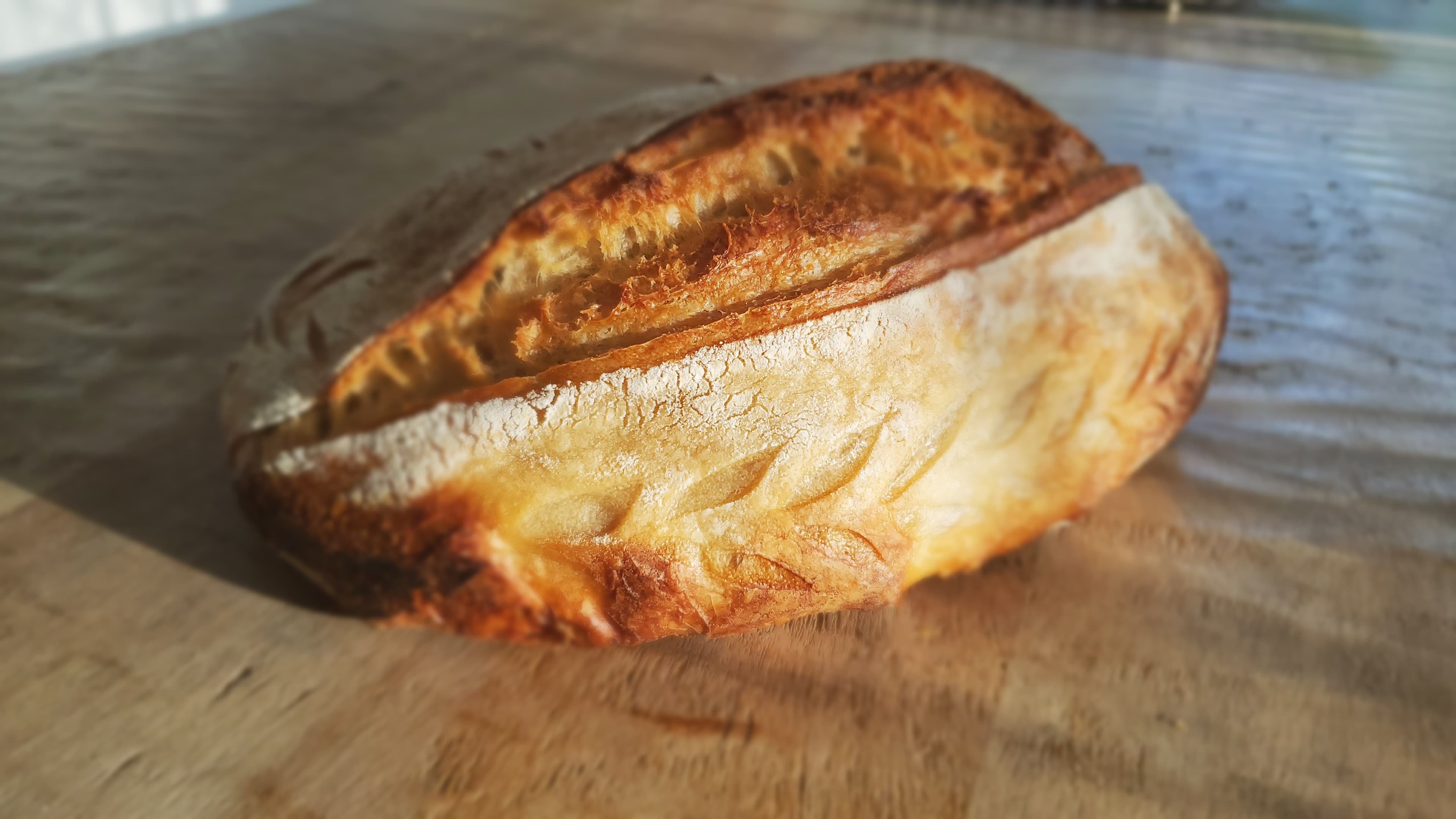 Standard Sourdough Bread